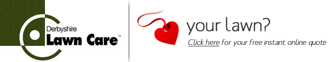 Derbyshire lawn care, lawn treatment, weed control